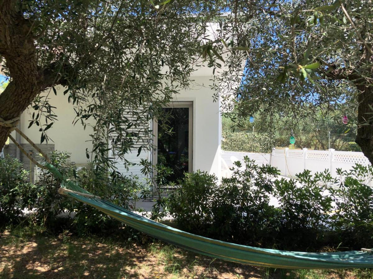 La Casetta Tra Sassi E Ulivi B&B Matera Exteriör bild